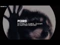 la canción de pedro | PEDRO - Raffaella Carrà, Jaxomy, Agatino Romero (Remix TikTok / Sub. Español)