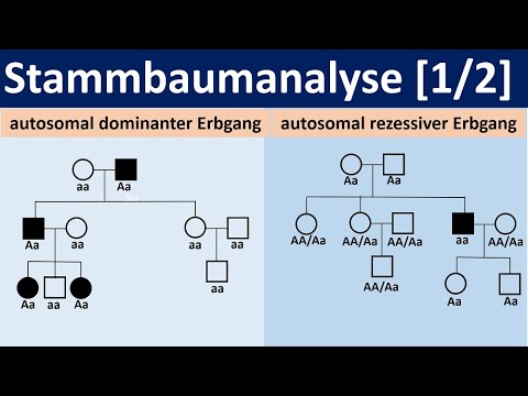Family tree analysis [1/2] - autosomal dominant or recessive inheritance [Biology, Advanced Level...