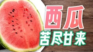 [問卦] 現代人吃的還不如古代好？