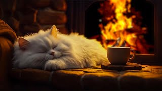 Stay-In Night Vibes 🔥 Fireplace Ambience & Furry Cat Purring to Lull You into Sweet Dreams