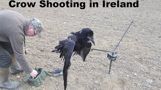 preview picture of video 'Crow Shooting in Ireland - Extreme Distance'