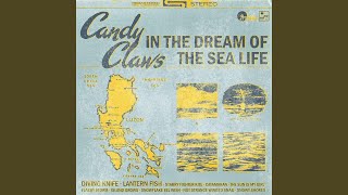 Cover art for Lantern Fish