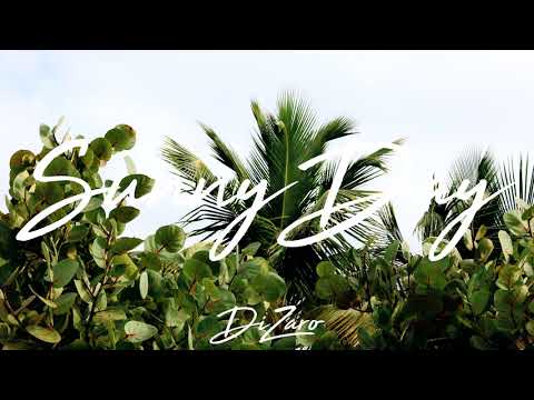Dizaro - Sunny Day