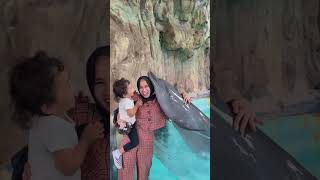 Download lagu Dcium lumba lumba mp3 Download lagu Dcium lumba lumba mp3