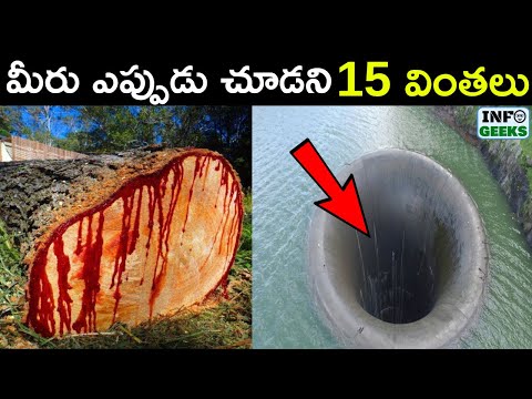 15 Mind blowing things you will see for the first time in your life