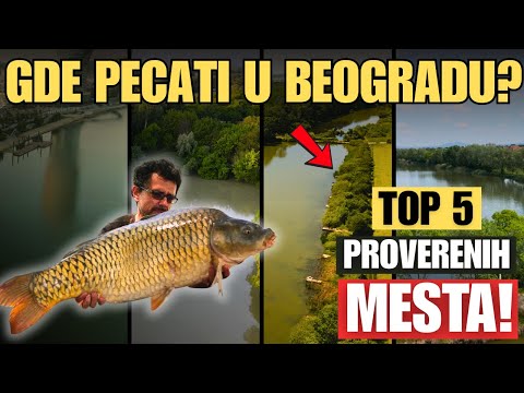 Gde pecati blizu Beograda? 🎣 Top 5 mesta koja će te iznenaditi😲