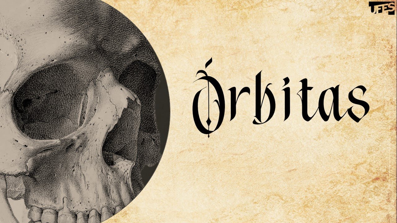 Órbitas (Orbit) | Prof. Eduardo Beber - Anatomia/UFES
