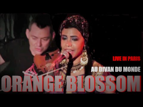 ORANGE BLOSSOM LIVE IN PARIS AU DIVAN DU MONDE PARIS LE 27 NOVEMBRE 2014
