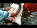 দেখুন কিভাবে গ্রামে শুকর কাটা হয়