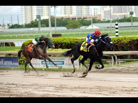 MASTER SUPREME - Copa Velocidad 2017