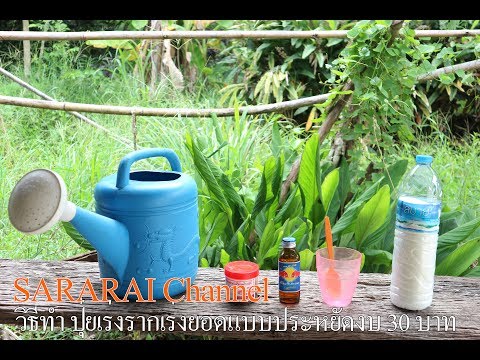 วางค้อนของ ธ อร์ที่จะซื้อใน Penza ที่ร้านขายยา ครีมผู้หญิงเชื้อโรค