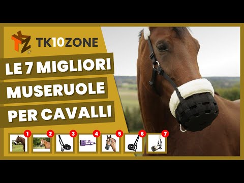 Le 7 migliori museruole per cavalli