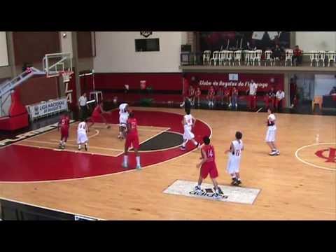 Bernardo #9 - Ala / C.R.Flamengo - Highlights 2013