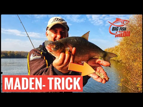 Pop-Up-Maden: Mit schwimmenden Krabblern besser fangen | Tipps vom Profi