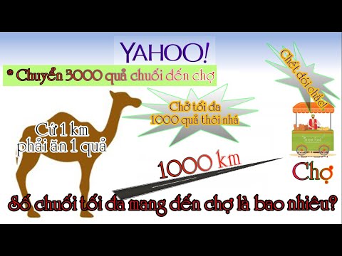 Câu Đố Lạc đà chở đồ? Logic và ưu việt!!!