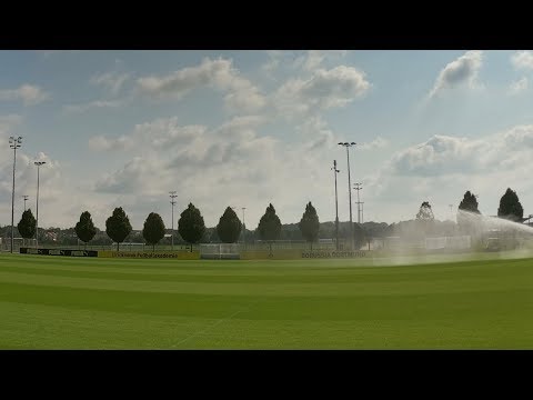 Borussia Dortmund - Public Training   13 Aug 2019 in Brackel - with extras