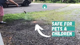 How to Kill Weeds in Gravel Driveway | How to Get Rid of Weeds | Propane Torch