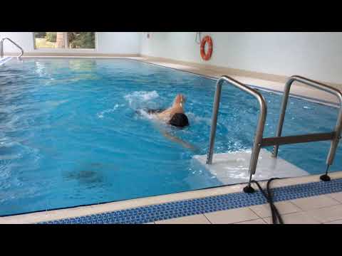 Swimming pool design allows you to swim against the tide