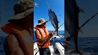 Download lagu #mancing #mancingmania #fishing #fyp #shorts mp3