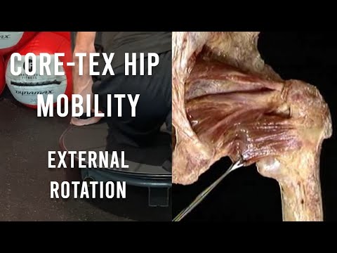 External Hip Mobility with Core-Tex