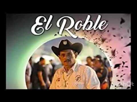 El Jornalero - El Roble Copaneco