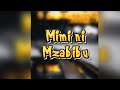 Mimi Ni Mzabibu Official Audio