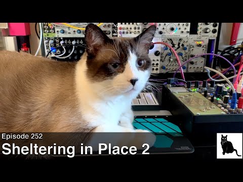 Sheltering in Place 2: Sensel Morph and Modular Jam