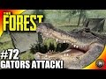 The Forest Gameplay - Gators, Camps And Caves - Let's Play S16EP72 (Alpha V0.40) The Forest Gameplay - Gators, Camps And Caves - Let's Play S16EP72 (Alpha V0.40)