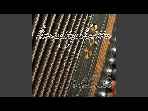 dem Schindlschneider Sepp seiniger (Live)