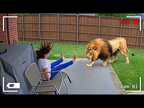 Uno Entre Mil Millones: Momentos Animales Captados por las Cámaras