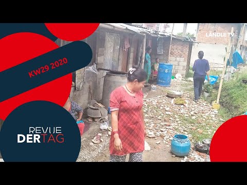 DER TAG Revue | KW29 2020