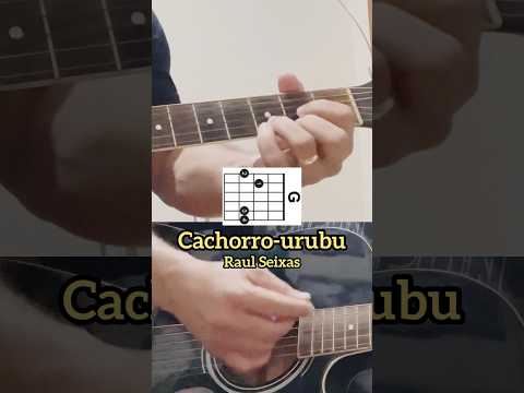 Cachorro - urubu - Zé Geraldo
