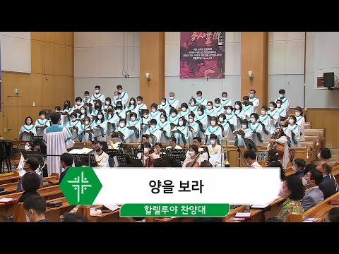 [22.08.21] 할렐루야 찬양대 - 양을 보라 대표이미지