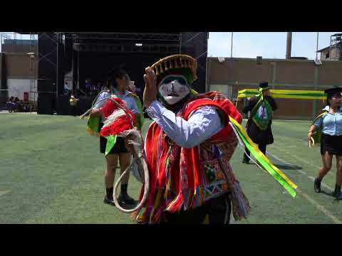 Danza DR siclla de anta Cusco Perú 