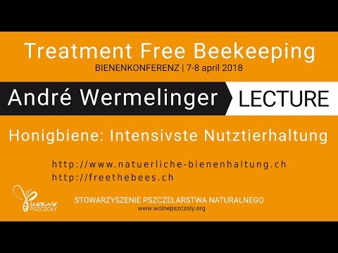 Lecture by André Wermelinger