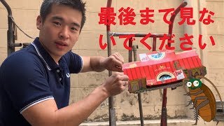 【閲覧注意】キツすぎる。まさか過ぎる結果に驚愕！ Did you know that we can take as much cockroach as we want in here? แมลงสาบ