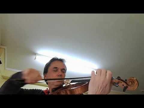 My workshop "SIMONETTI" model violin