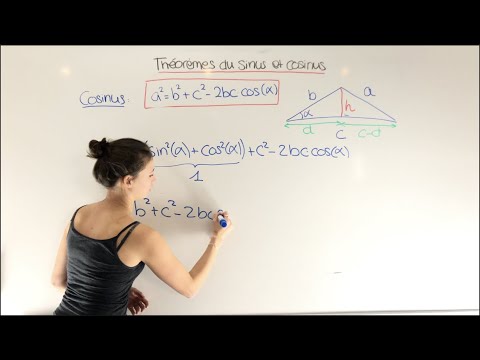 Sine and Cosine Theorems