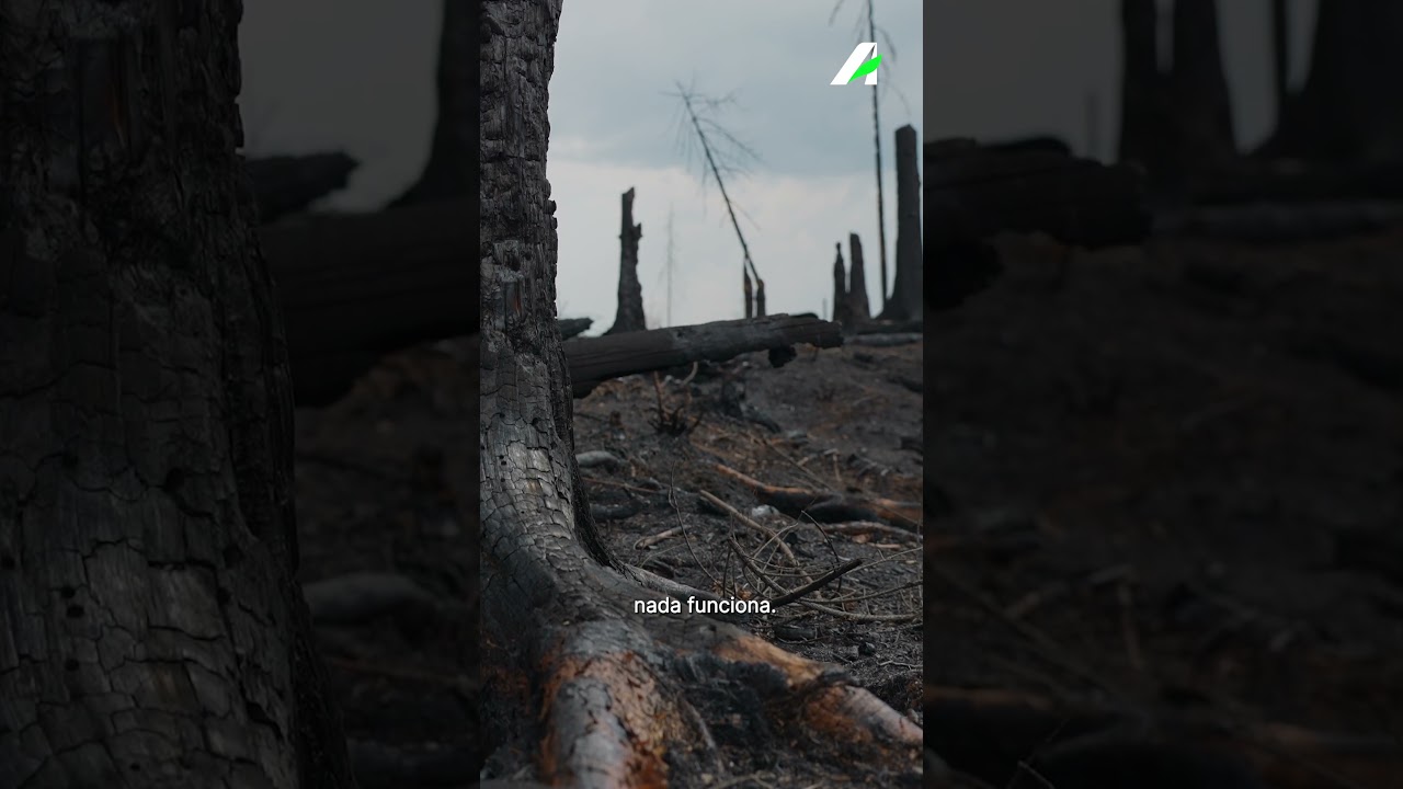 Você já parou para pensar no que acontece quando o meio ambiente fica off?