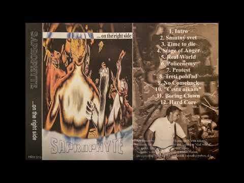 Saprophyte - Tretí pohľad