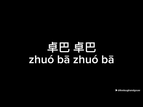 卓巴 卓巴 (zhuo ba zhuo ba) - Wings, Double Star (Lyric Video)
