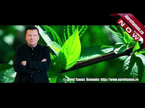 Aurel Tamas - Caravana