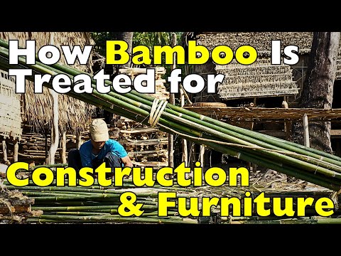 Treated Bamboo Factory