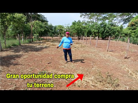 Terreno a la venta😱compra tu terreno para vivienda en Chiquimulilla Santa Rosa con agua y luz😱