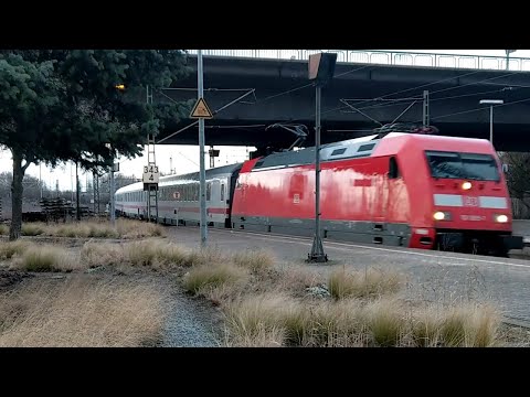 Bahnhof Hamburg-Harburg: Züge am Wildblumengarten – und ein kleiner Vergleich mit 1994