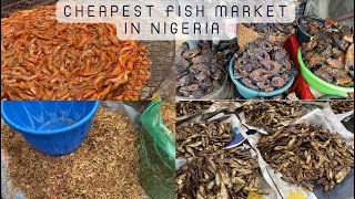 Food Market|CHEAPEST FISH MARKET IN NIGERIA| CRAYFISH | PRAWN| FRESH FISH| DRY FISH |BUSHMEAT-ETC