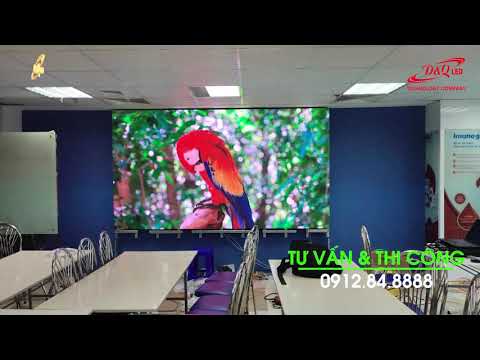 Video dự án
