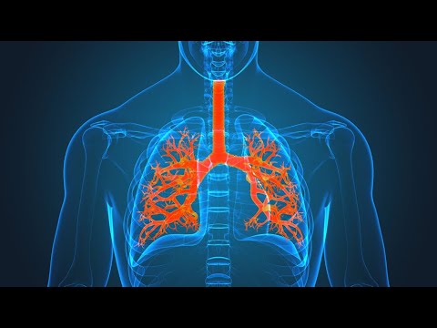 Segmentectomy Preoperative Planning Using 3D Slicer Part 1: Airway