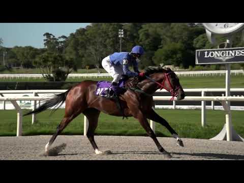 210228 c03 NOPAYA NAA