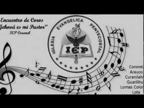 IEP Coronel - Cerca, mas cerca